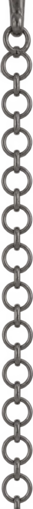Ring-Link Waist Chain, back view